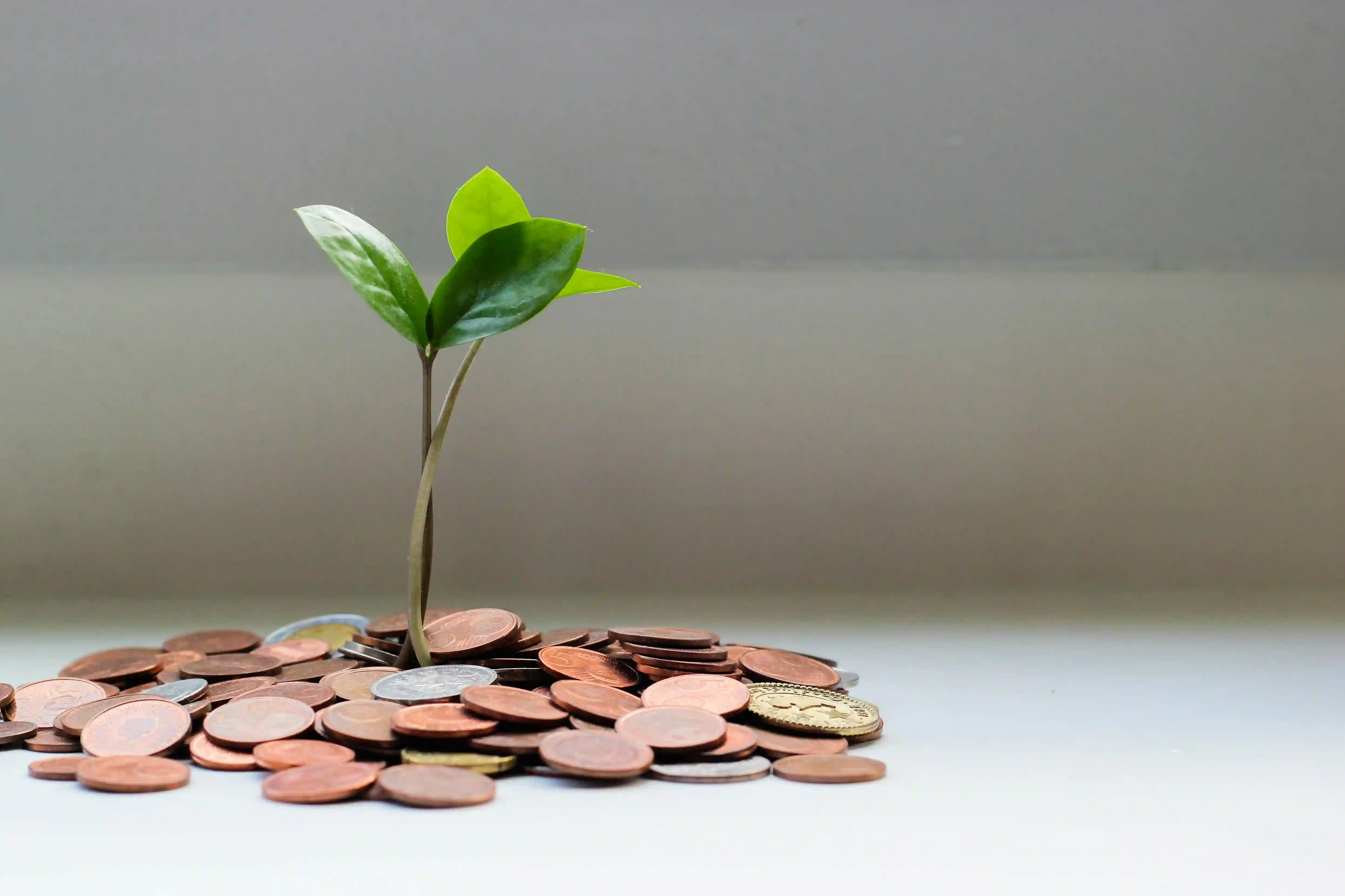 Couple planning long-term retirement savings